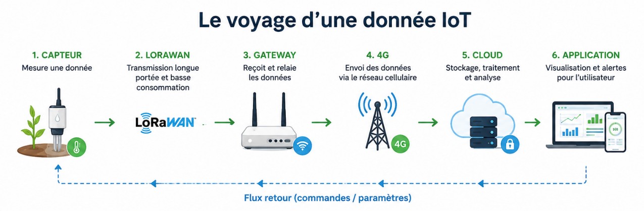Voyage d’une donnée IoT agricole du capteur LoRaWAN à l’application via une gateway, la 4G et le cloud